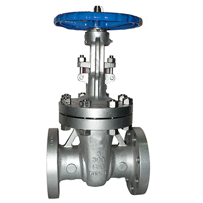 Special Alloy Gate Valve