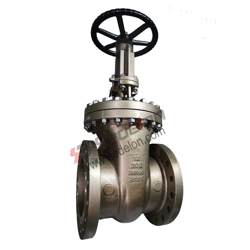 Big size Bronze gate valve